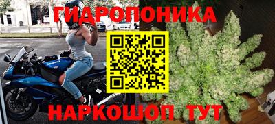 a pvp Новокубанск