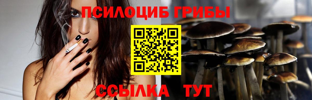Псилоцибиновые грибы мицелий Волоколамск