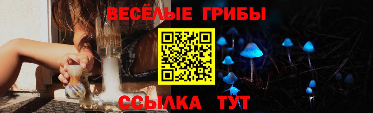 Галлюциногенные грибы Psilocybe  Вход с VPN  Волоколамск 